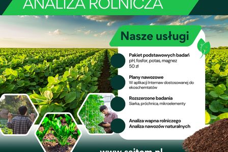 Zdjęcie produktu - Usługa an…